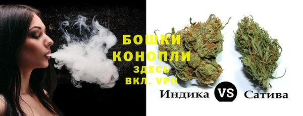 mdpv Няндома